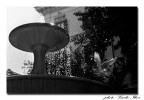 acqua, fonte di vita