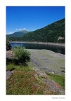 lago delio lago delio