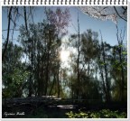 Riflessioni Riflessioni