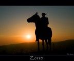 Zorro Zorro