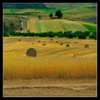 campagne lucane campagne lucane