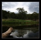 Landskape 1 Landskape 1