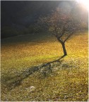 Lights and shadows: life and dead. Lights and shadows: life and dead.