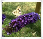 Turbine di colori Turbine di colori