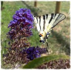 Enorme leggerezza Enorme leggerezza