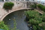Fontana Aretusa - Siracusa Fontana Aretusa - Siracusa