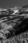 Roccia e Abeti Roccia e Abeti