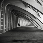 Giona che visse nella balena Giona che visse nella balena