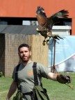 Falconiere Falconiere