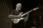 Frank Gambale