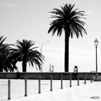 In Piazza del ferrarese a Bari