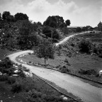 ricotta e formaggio ricotta e formaggio