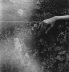 MALINCONIA MALINCONIA