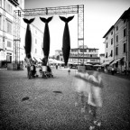 Onirico #01 Onirico #01