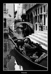 Questa  un'immagine di strada anche se a Venezia le strade sono d'acqua.