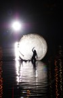 giochi di  ombre e luce nell'acqua giochi di  ombre e luce nell'acqua