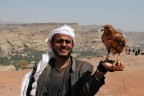 Yemen. Caccia con il falcone Yemen. Caccia con il falcone