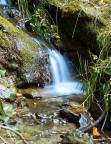 Prove tecniche...effetto acqua seta... solo un esperimento..ditemi cosa ve ne pare.
Ciao e grazie