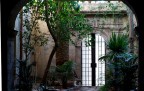 Cortile Cortile