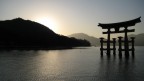 Tori Miyajima Tori Miyajima