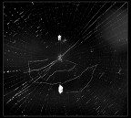 Grafismi 2 Grafismi 2