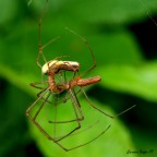 Giochi d'amore Giochi d'amore