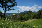 Veduta da Monte di Malo

Critiche e suggerimenti sempre ben accetti