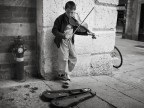 Ragazzo con violino Ragazzo con violino