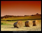 Balle di Fieno Balle di Fieno