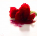 violenza alle donne violenza alle donne