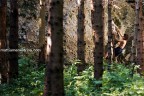 Torlo boulder Torlo boulder