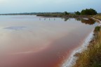 Saline di Cervia II Saline di Cervia II