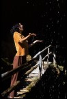 Pioggia di stelle