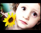 piccoli girasoli piccoli girasoli