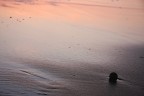 ... E ascolto il mare