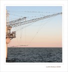 Attese multiple... Attese multiple...