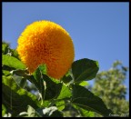 Solo raggi... Solo raggi...