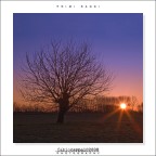 :: PRIMI RAGGI... :: PRIMI RAGGI...