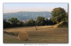 Scorci di Luglio Scorci di Luglio