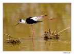 Ginnastica mattutina Ginnastica mattutina