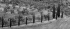 campagna toscana campagna toscana