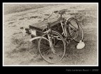 Mici in Bici Mici in Bici