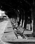 panchine di ortigia panchine di ortigia