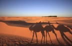 Passeggiata nel deserto