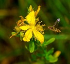 atterraggio atterraggio