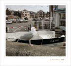 Fammi leggere meglio... ?? Fammi leggere meglio... ??