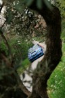 Rally e natura Rally e natura