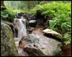ACQUA DI MONTE ACQUA DI MONTE