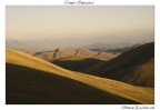 colline colline
