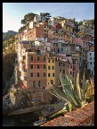 riomaggiore.. riomaggiore..